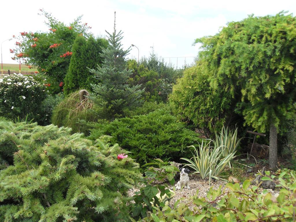 Rodinne Ubytovani - Family Accommodation Kobylice Luaran gambar